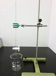 20100826CIMG0678.jpg