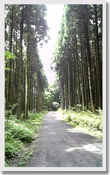 20101125.jpg