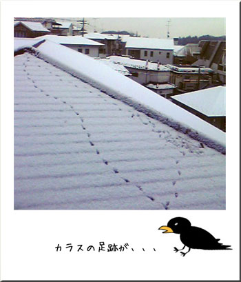 20110310_1.jpg