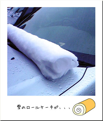 20110310_2.jpg