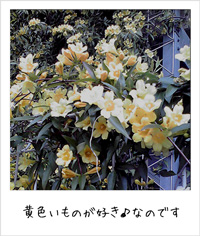 20110421.jpg