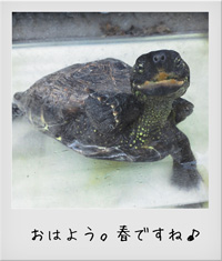 20110428h.jpg