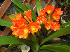 20120524_01.jpg