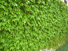20120524_02.jpg