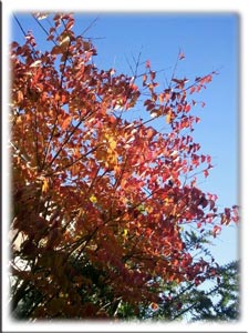 20121129-1.jpg