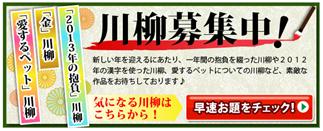 20130110kkm2.JPG