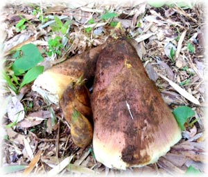201304-3.jpg