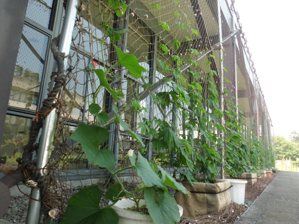 http://www.brooks.co.jp/brooksblog/20130801-1.jpg