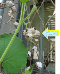 20130801-2m.jpg