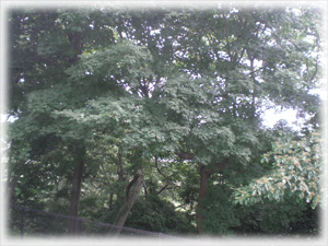 20130829-2.jpg