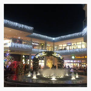 20131128-2.jpg