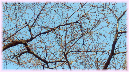 20140327.jpg
