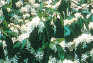 20140403-1.jpg