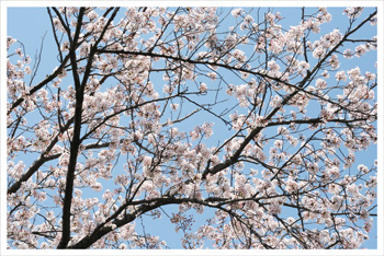 20140410-1.jpg