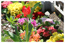 20140410-2.jpg