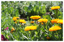 20140410-3.jpg