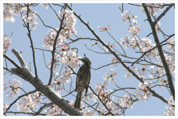 20140410-5.jpg