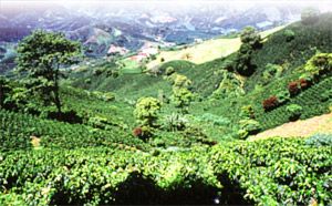 colo_farm_01.jpg