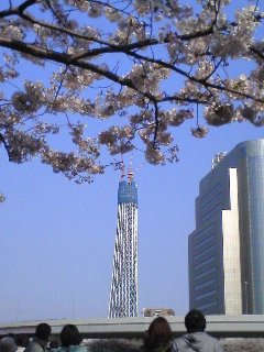 100403_1532~01.jpg