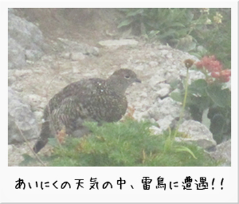 20111020-1.jpg