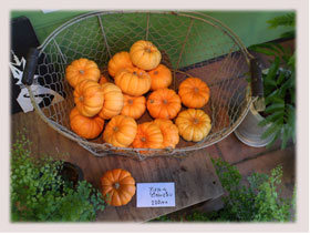 20121018-2.jpg