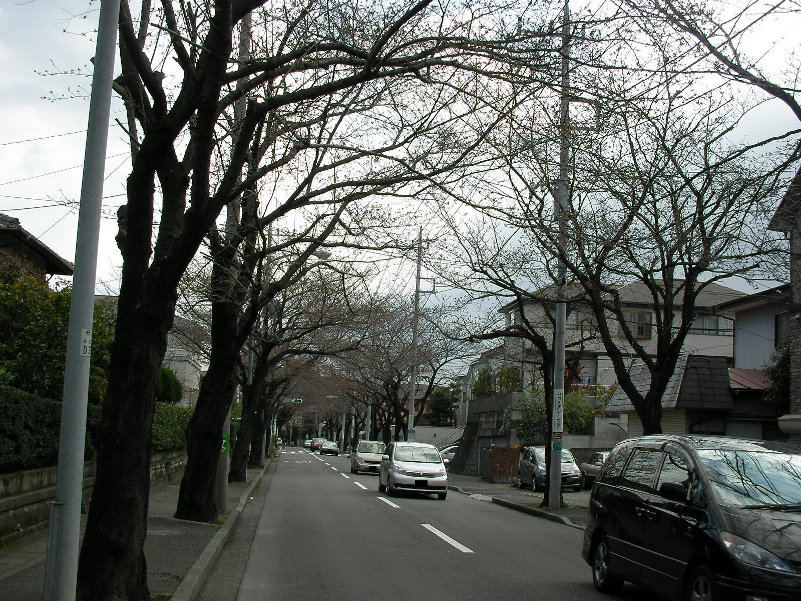 test_tea 0012.jpg