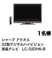 waiwai-shohinn-TV.JPG