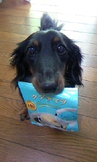 yukichi3.JPG