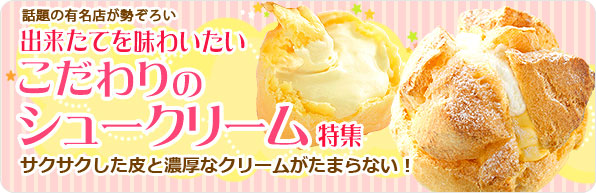 rec_toku_ttl_shop_camvol4.jpg