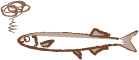 samma2.gif