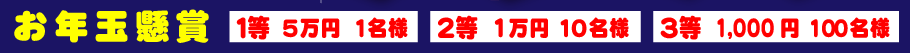 2012年福袋