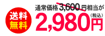 送料無料　税込2980円