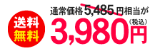 送料無料税込3980円