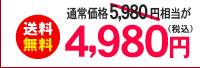 送料
無料　通常価格5,980円相当が4,980円（税込）