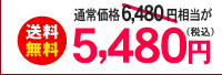 送料
無料　通常価格6,480円相当が5,480円（税込）