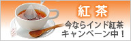 紅茶の紹介バナー