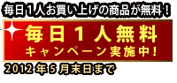 毎日1人無料キャンペーン