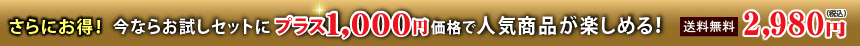 さらにお得! 今ならお試しセットにプラス1,000円価格で人気商品が楽しめる!送料無料 2,980円(税込)
