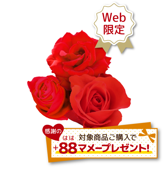 Web限定 対象商品ご購入で感謝の＋88(はは)マメープレゼント！
