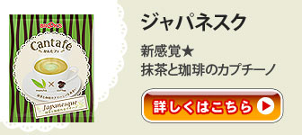 ジャパネスク