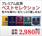 ベストチョイスセット