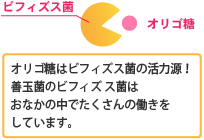 ビフィズス菌はオリゴ糖を食べて増えます。