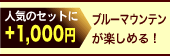 ブルーマウンテンフェア