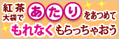 SAARA 紅茶キャンペーン