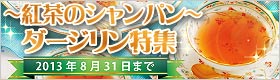 ダージリン特集