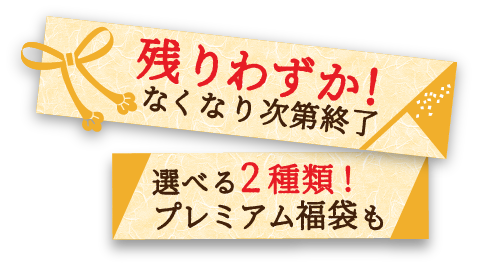 残りわずか！なくなり次第終了 選べる2種類!プレミアム福袋も