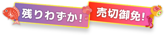 残りわずか！売切御免！