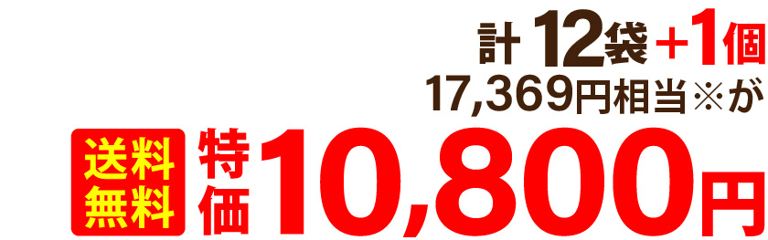 計 12袋＋1個 17,369円相当※が 送料無料特価10,800円