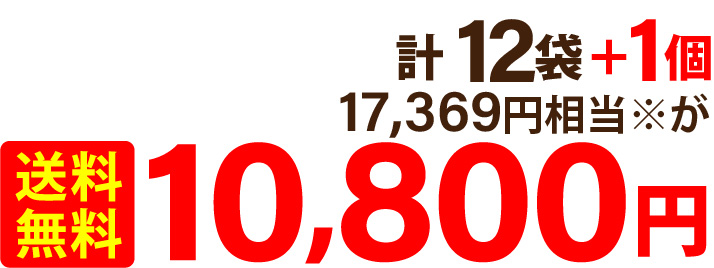 計 12袋＋1個 17,369円相当※が 送料無料10,800円