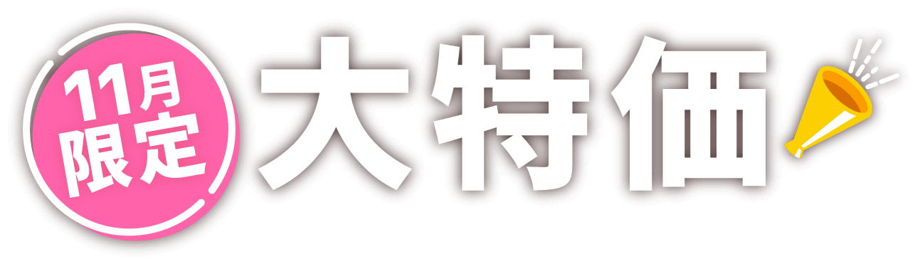 11月限定 大特価